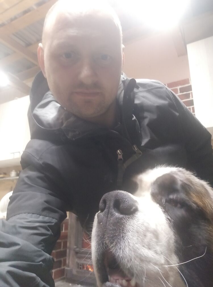  31288656  , 44 ,    -