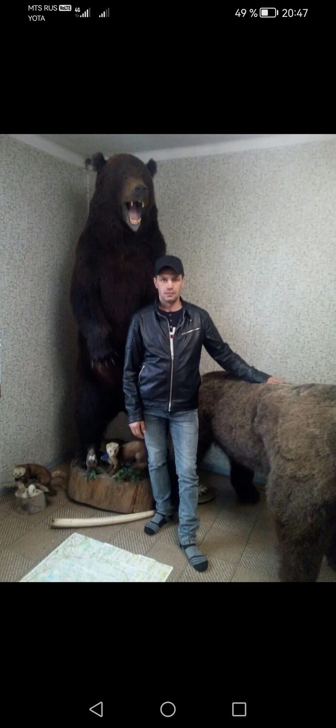 ���� 37145816 ������� ��������, 40 ���, ���� ���������� � ������ ���������