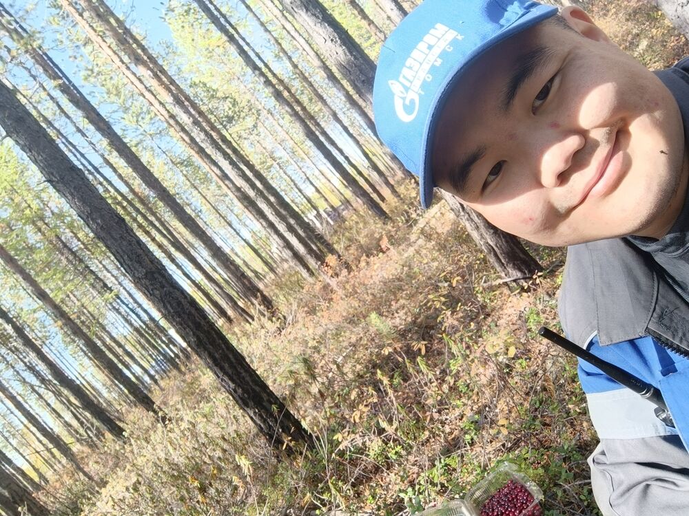 ���� 54981396 ������� ������, 30 ���, ���� ���������� � �������