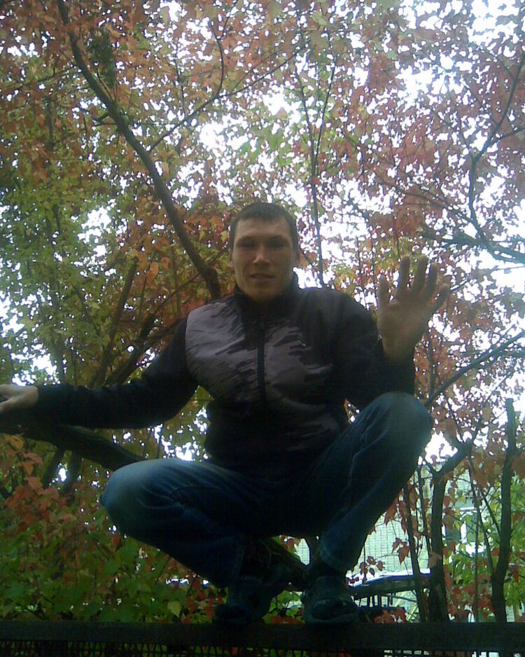  8338766  , 36 ,    -