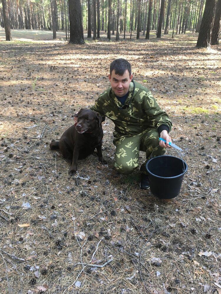 ���������� ������, ���� ������� ����, 37 ���, ������������ ��� ������, ����� � ���������, c�������� ���������