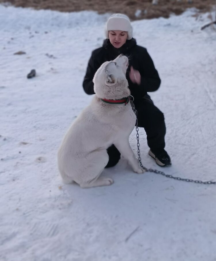 ���������� ���������, ���� ������� �����, 40 ���, ������������ ��� ���������