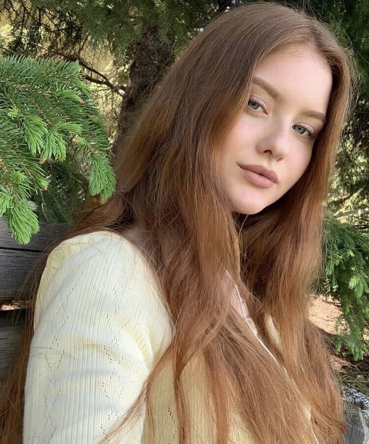 ���������� �����������, ���� ������� �����, 25 ���, ������������ ��� ������, ���������