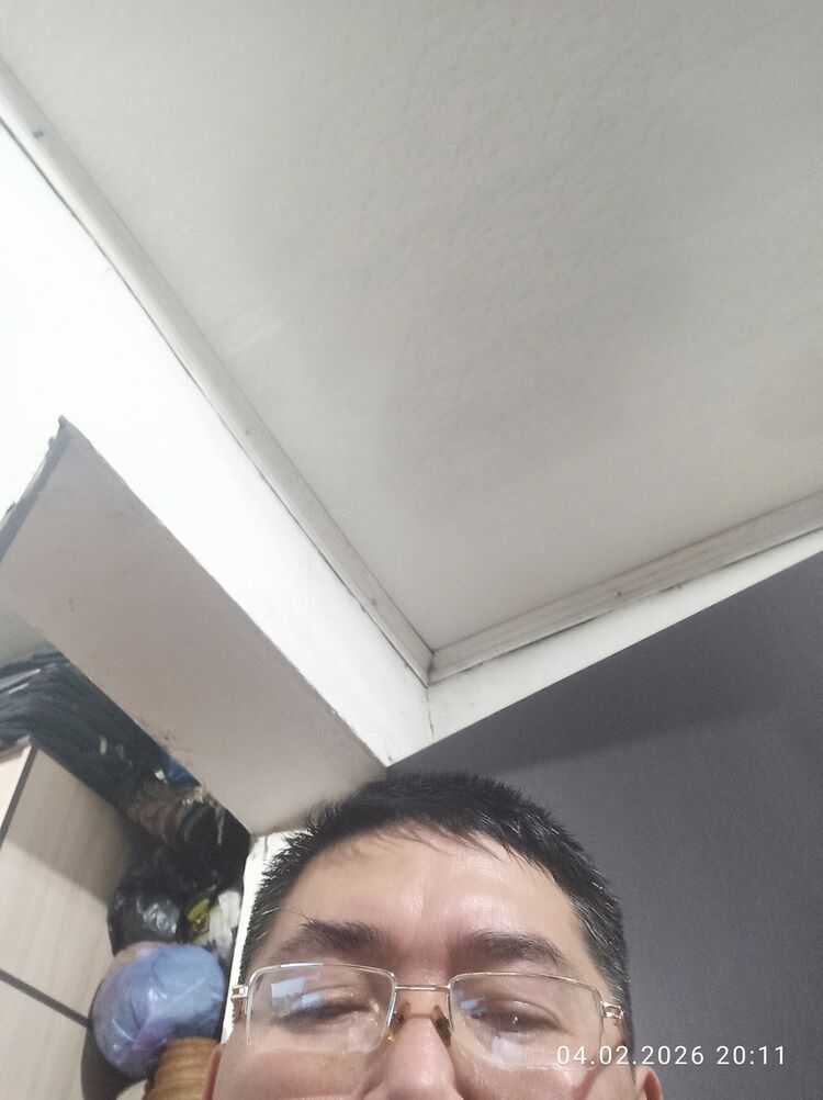 ���� 55524236 ������� �����, 35 ���, ���� ���������� � �������