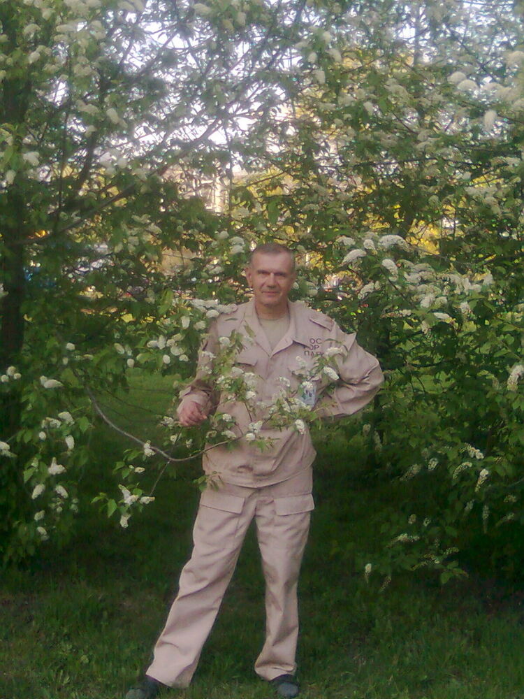 ���� 18711136 ������� ���������, 64 ����, ���� ���������� � �������������