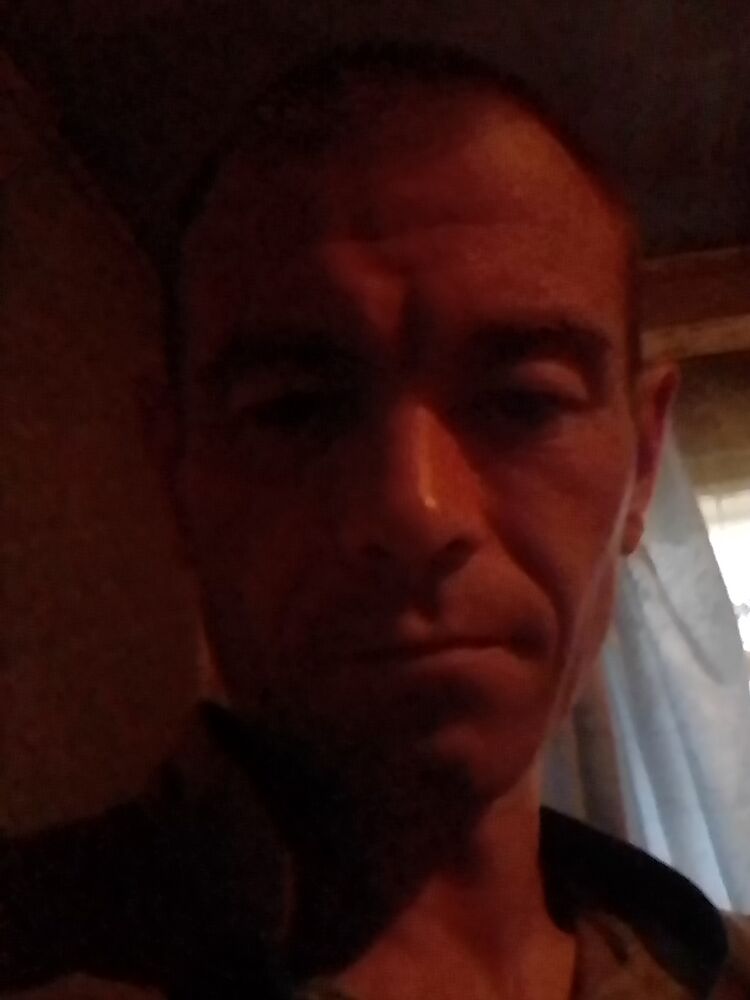  35673256  , 41 ,    