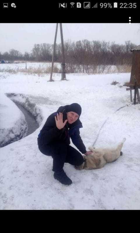 ���� 16765066 ������� �����, 43 ����, ���� ���������� � ��������