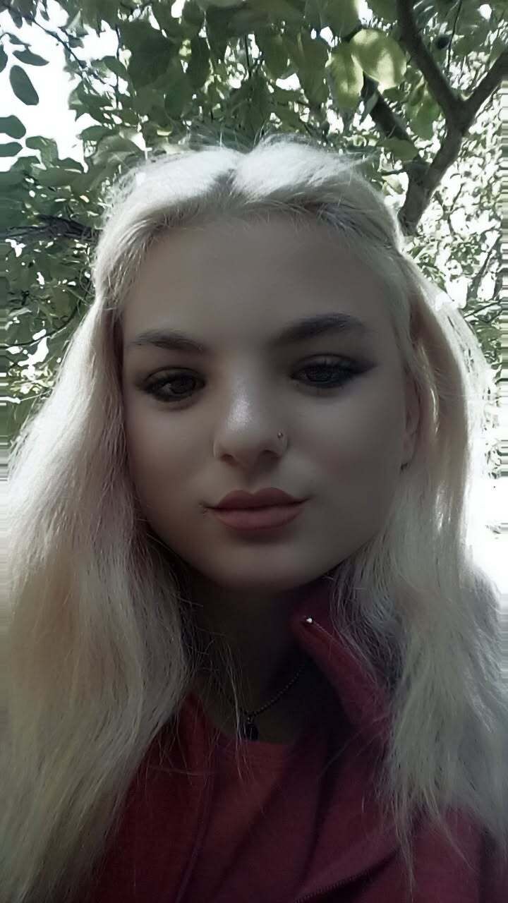  53290396  , 19 ,    