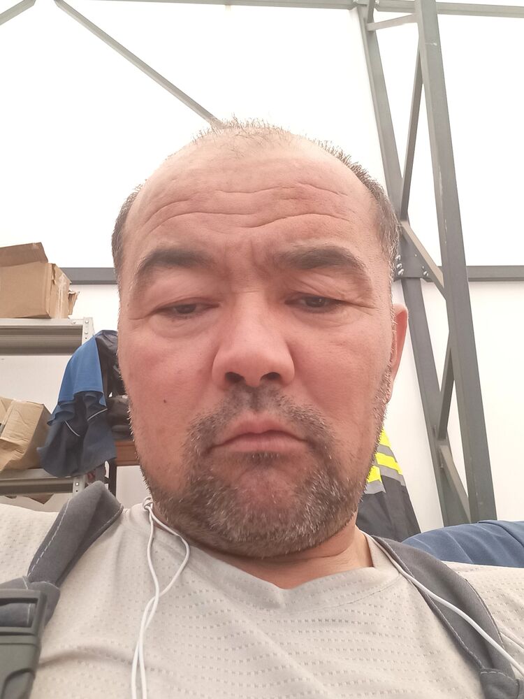  53350786  , 41 ,    