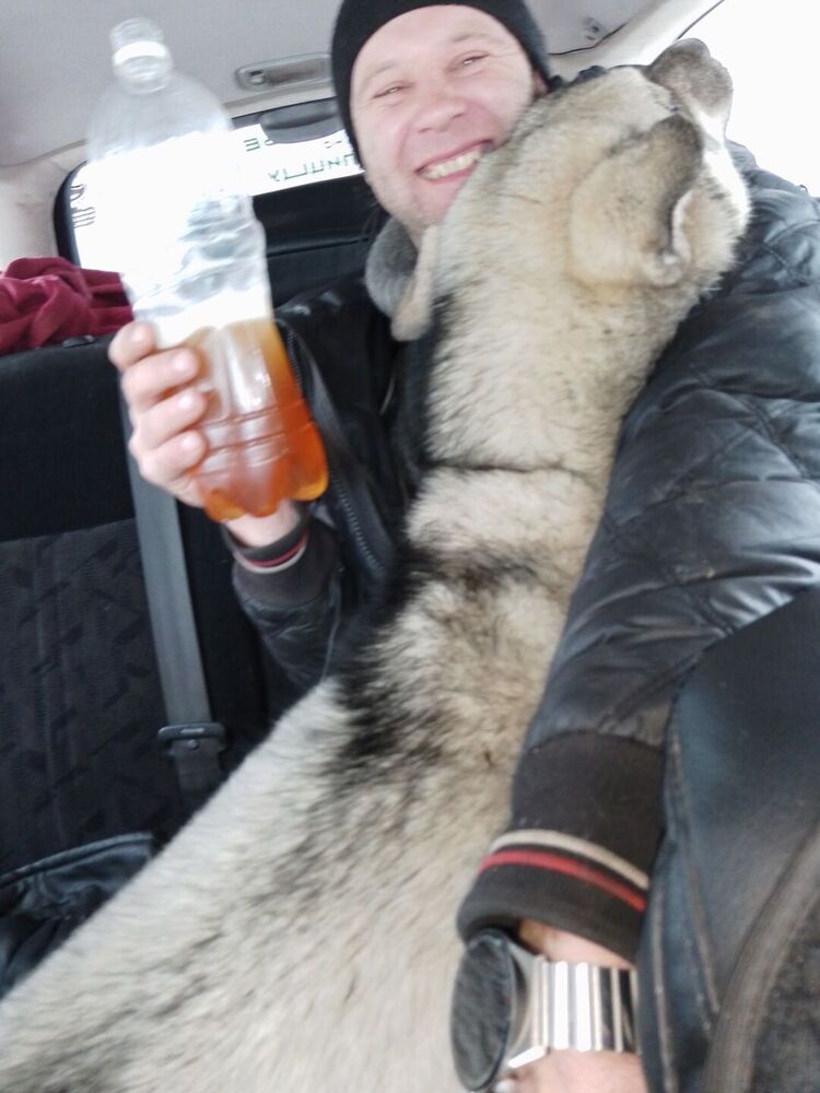 ���� 43706746 ������� �����, 36 ���, ���� ���������� � ��������