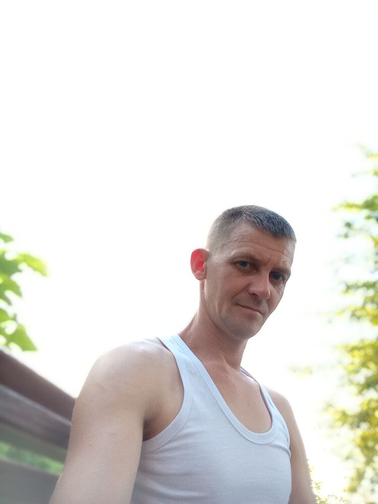  43972066  , 41 ,    