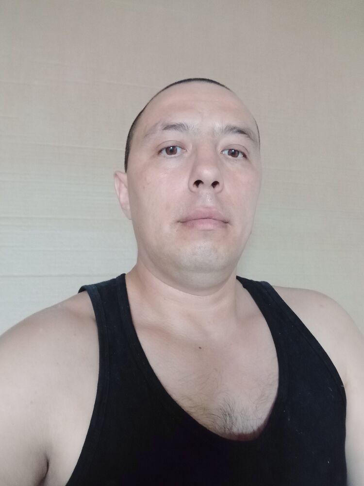  52753056  , 36 ,    