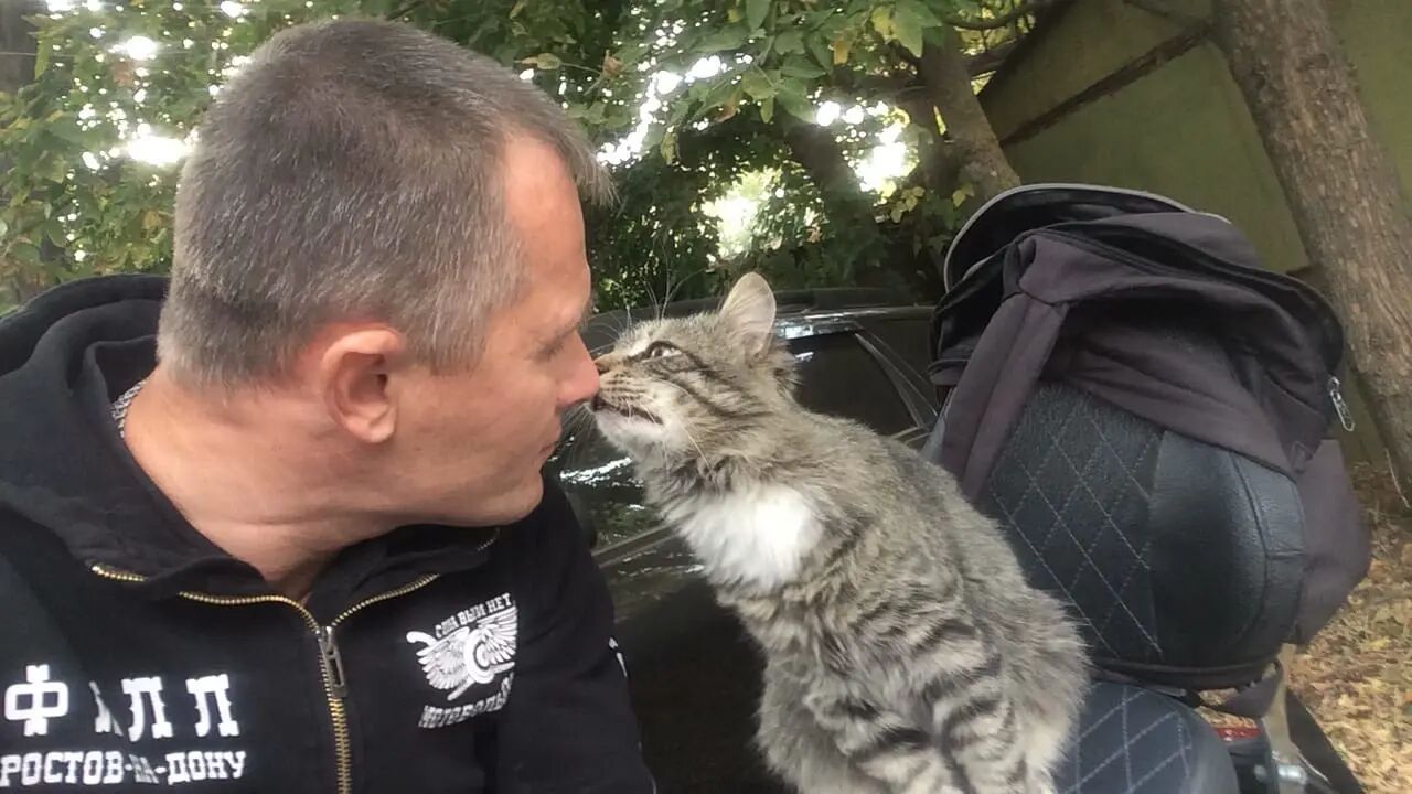  ,   Helsengoff, 46 ,   ,   