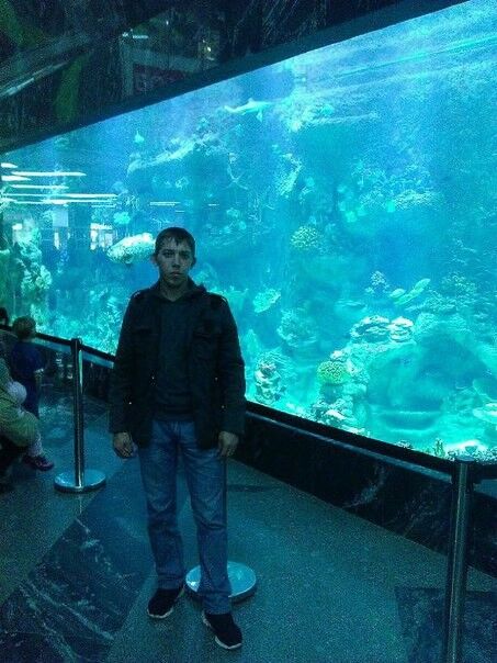 ���������� �������, ���� ������� ����, 38 ���, ������������ ��� ����� � ���������, c�������� ���������