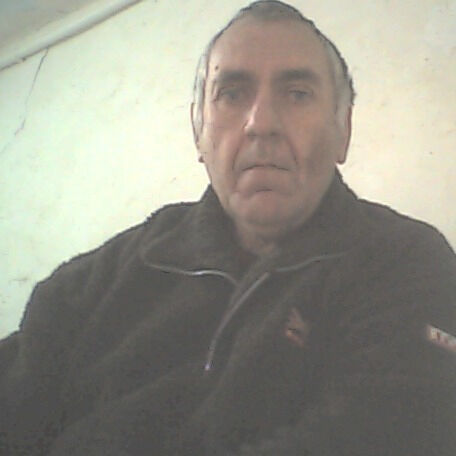  33468566  , 62 ,    