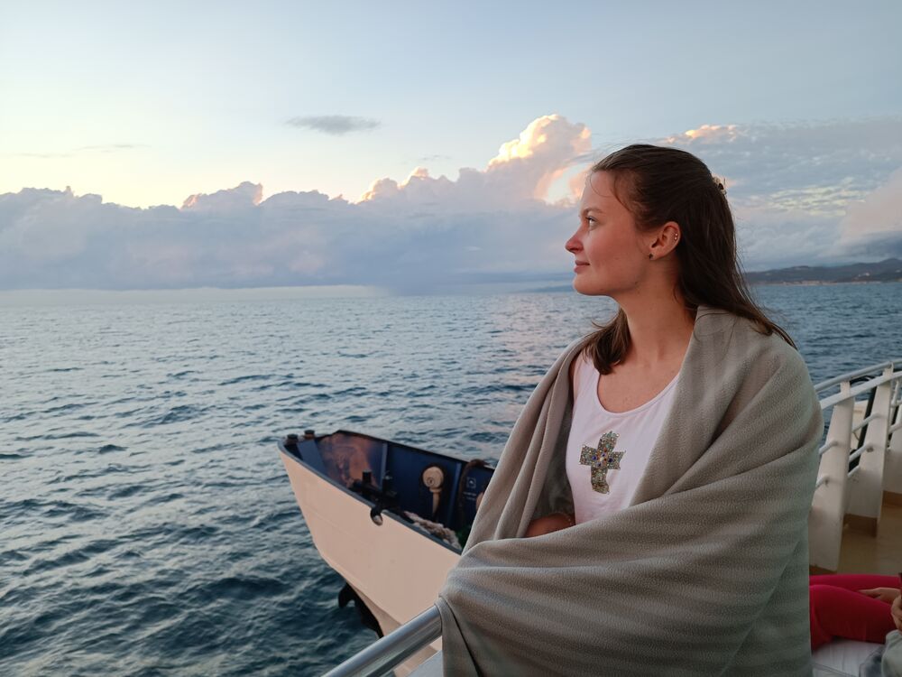  29775056  , 26 ,    -