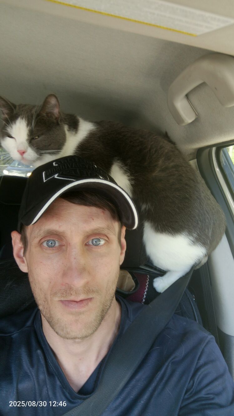 ���� 55618246 ������� �����, 38 ���, ���� ���������� � �������