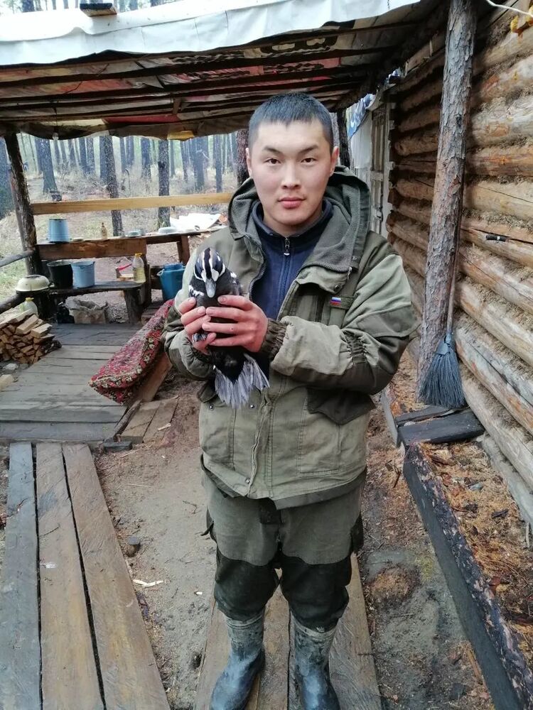 ���� 31963386 ������� ������, 28 ���, ���� ���������� � ����-���