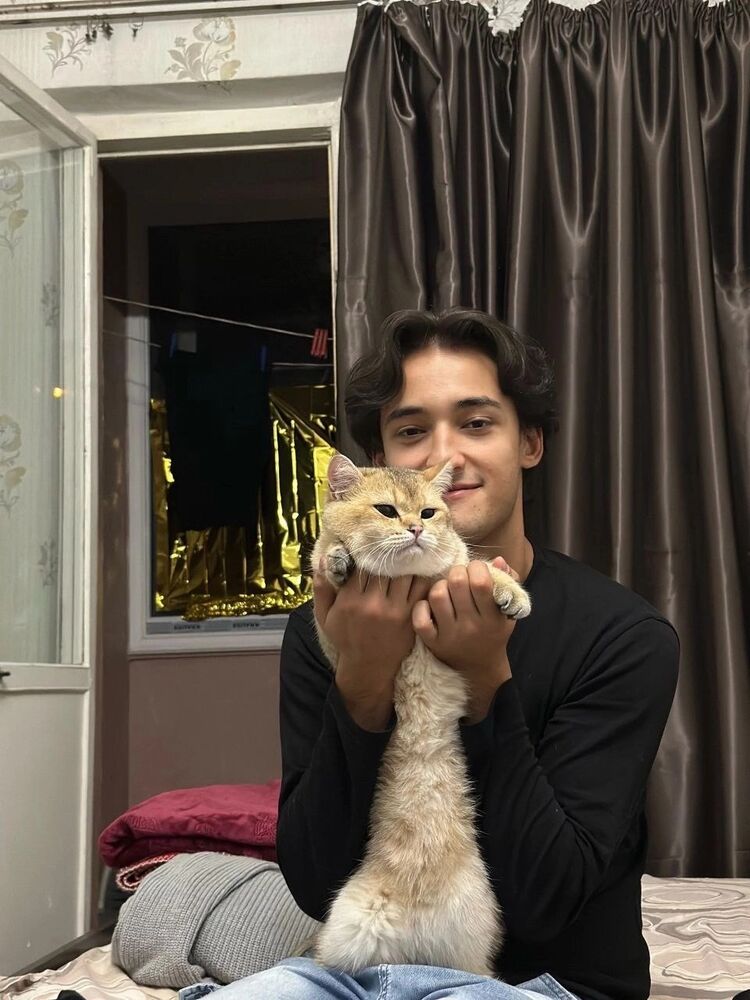 ���������� �����������, ���� ����� �����, 22 ����, ������������ ��� ����� � ���������, c�������� ���������