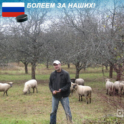  22195306  Aleksej, 53 ,    