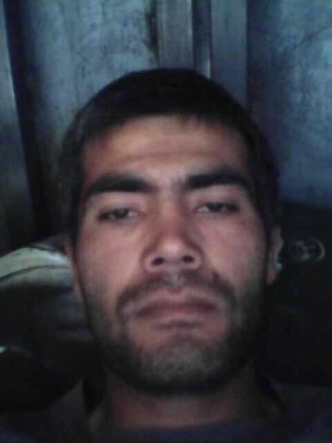 ���� 6231696 ������� �������, 41 ���, ���� ���������� � ���������