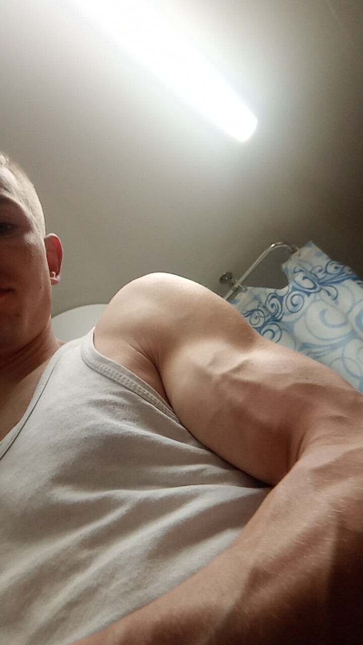  29333186  , 27 ,    