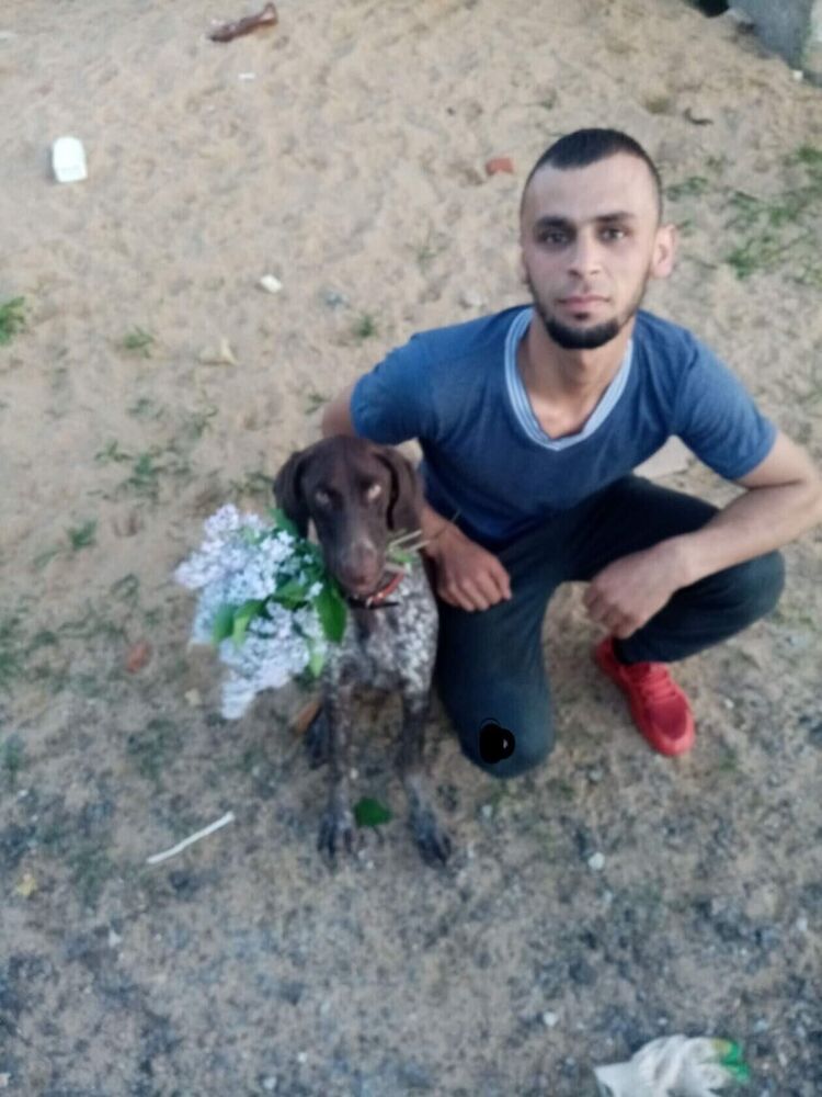  29016956  , 29 ,    