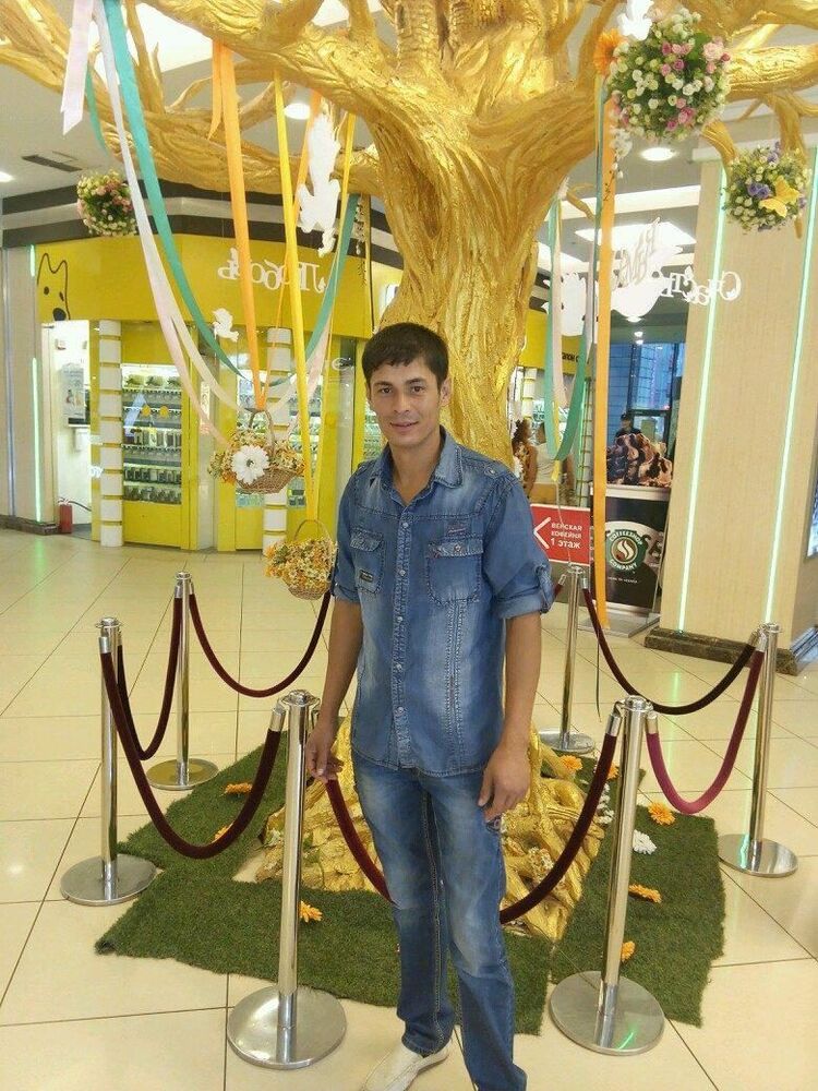 ���� 34065376 ������� GULOM, 38 ���, ���� ���������� � ��������