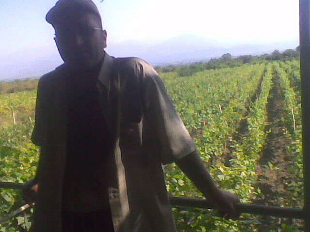 ���� 4728906 ������� 1234, 48 ���, ���� ���������� � �������