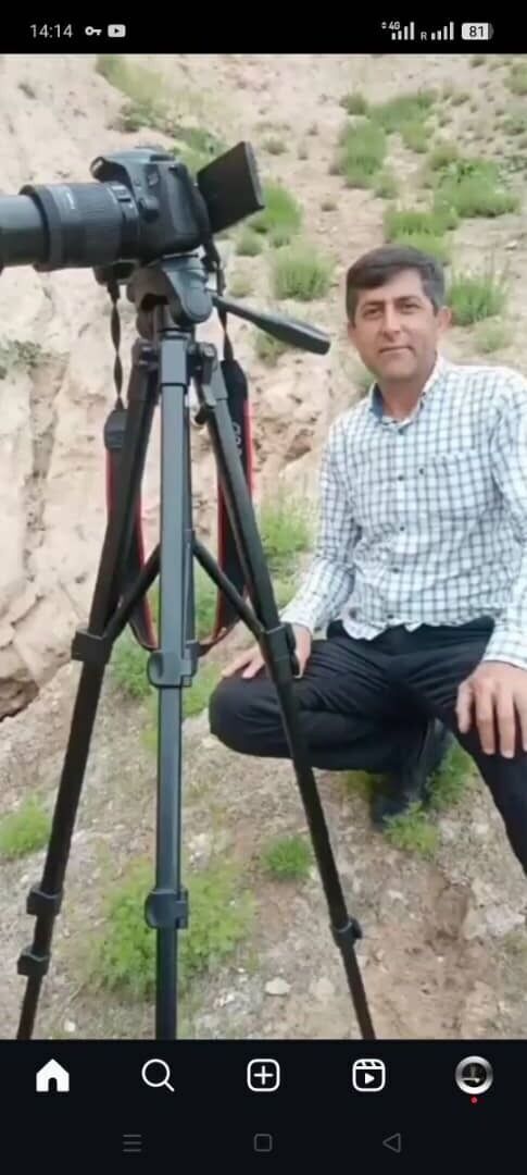 ���������� ����, ���� ������� �������, 37 ���, ������������ ��� ������, ����� � ���������