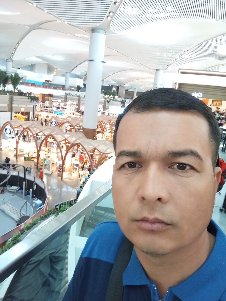  53321036  , 38 ,    