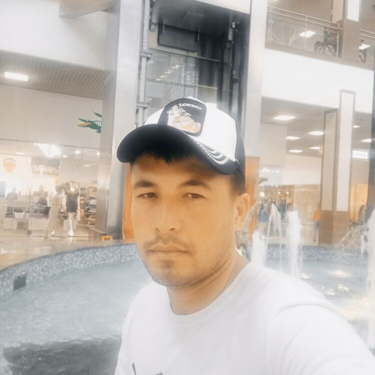 ���� 28435826 ������� ���������, 33 ����, ���� ���������� � ����