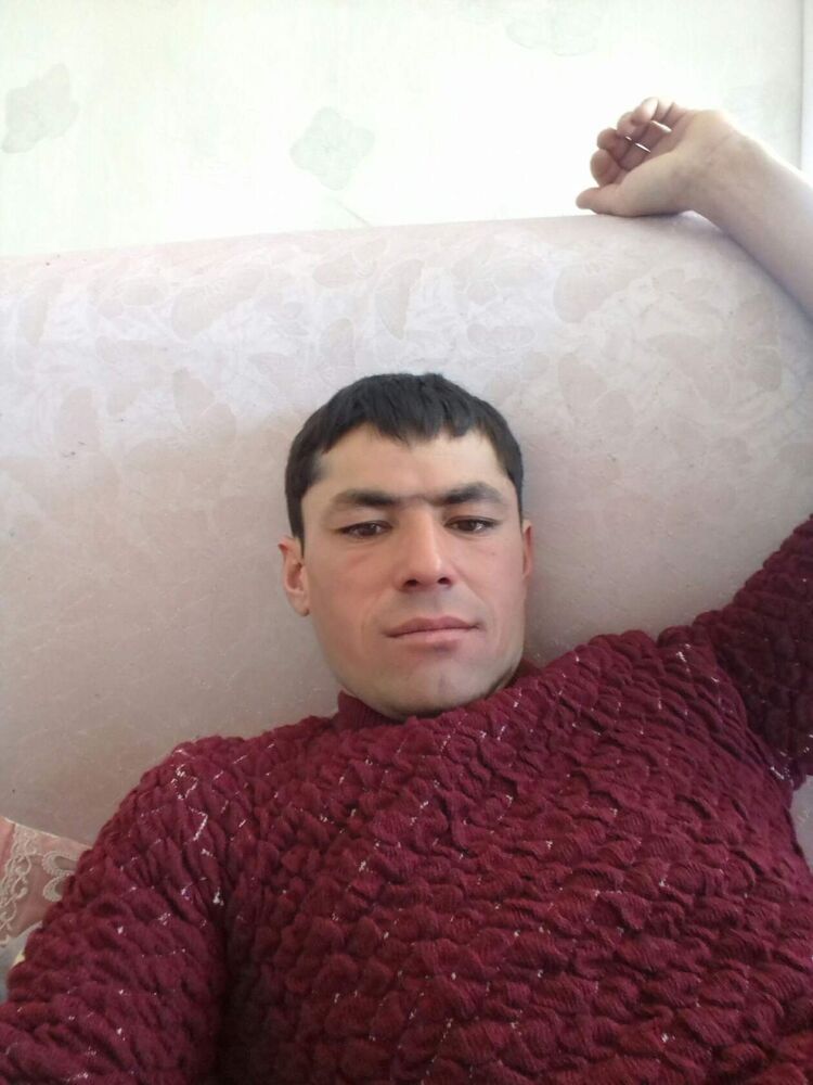  28526606   , 34 ,    -