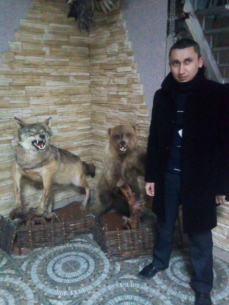 ���������� ������, ���� ������� �ZIZ, 37 ���, ������������ ��� ������, ����� � ���������