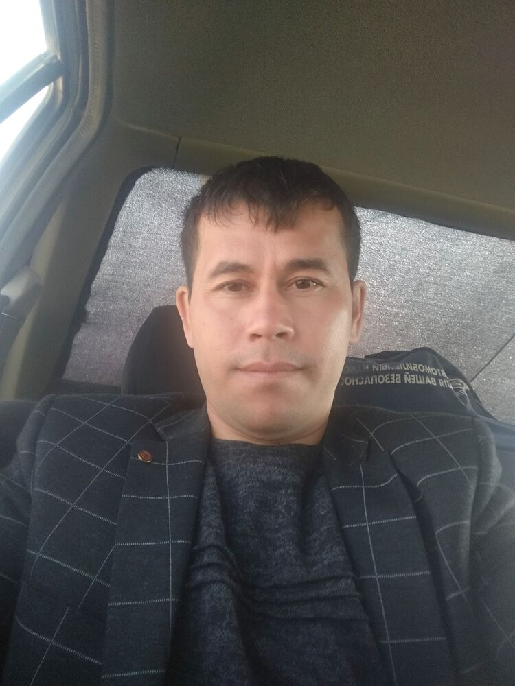  40535956  , 36 ,    