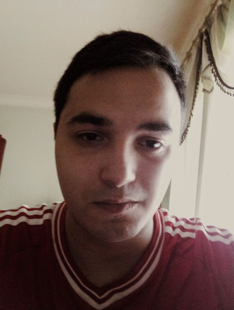 ���� 17317806 ������� Turpal, 27 ���, ���� ���������� � �����