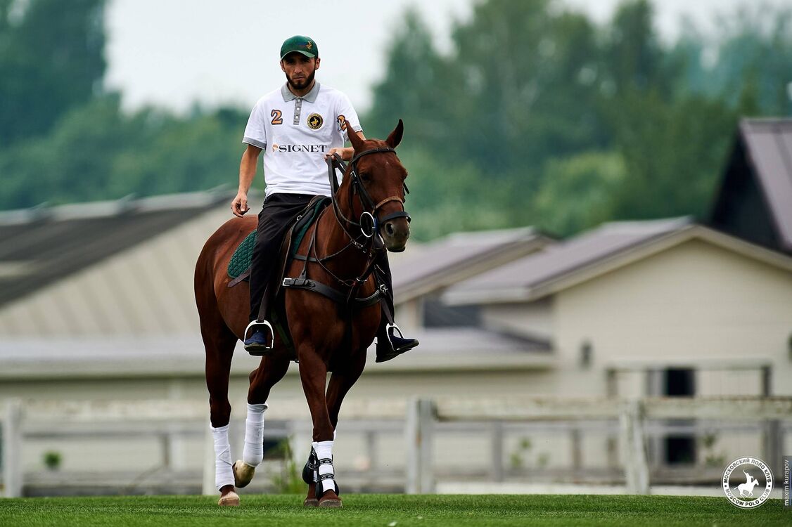 ���� 30369876 ������� ����, 34 ����, ���� ���������� � ��������