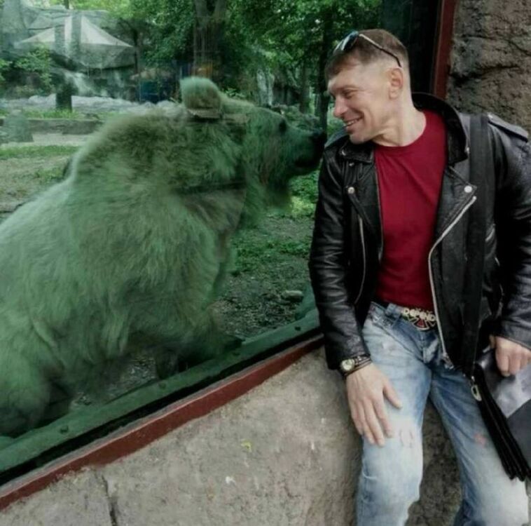 ���� 54811106 ������� ��������, 47 ���, ���� ���������� � �����