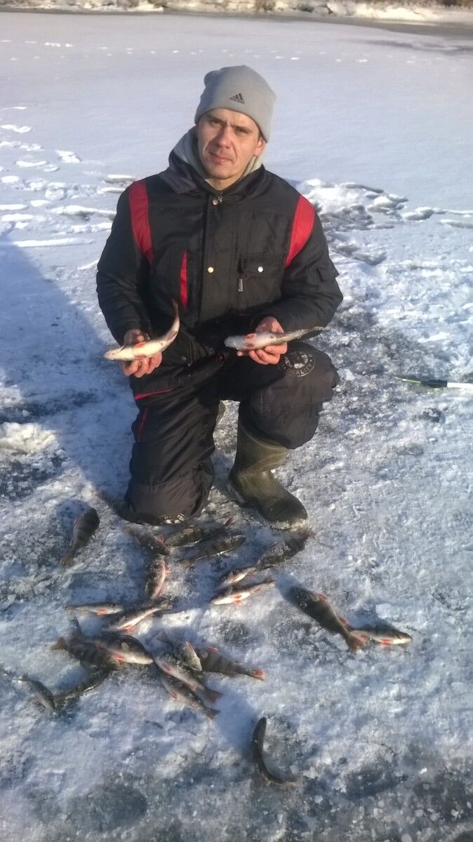 ���������� ������, ���� ������� ������, 40 ���, ������������ ��� ������