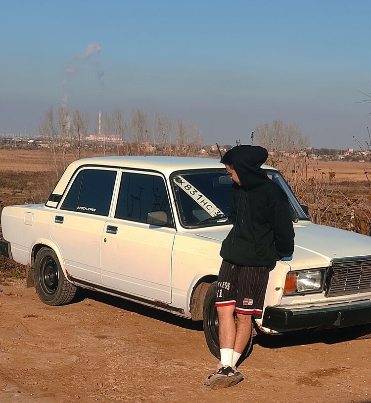  31662666  , 23 ,    