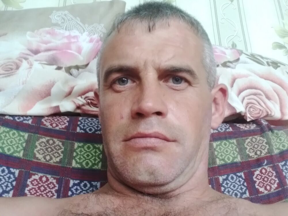  23367416  , 41 ,    