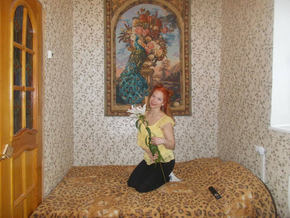 ���������� ���������, ���� ������� ����, 48 ���, ������������ ��� ������, ����� � ���������, c�������� ���������