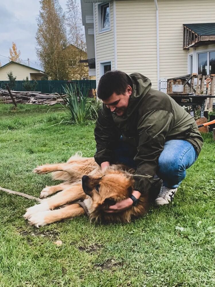  27281876  , 29 ,    -