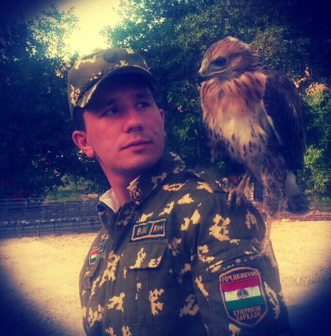 ���� 4447536 ������� ���� ����, 34 ����, ���� ���������� � �������