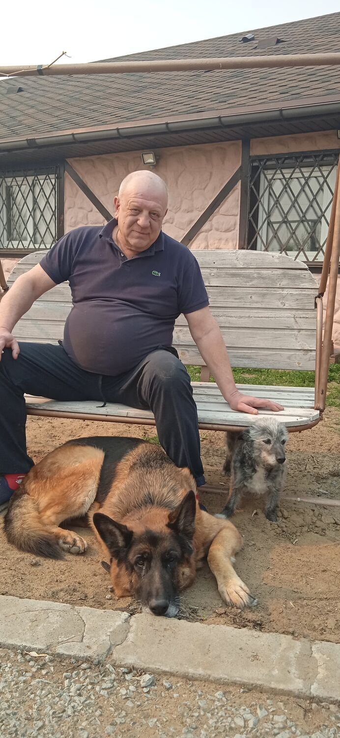  ,   , 65 ,   ,   