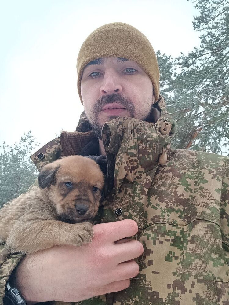 ���� 55642876 ������� ����, 33 ����, ���� ���������� � �������