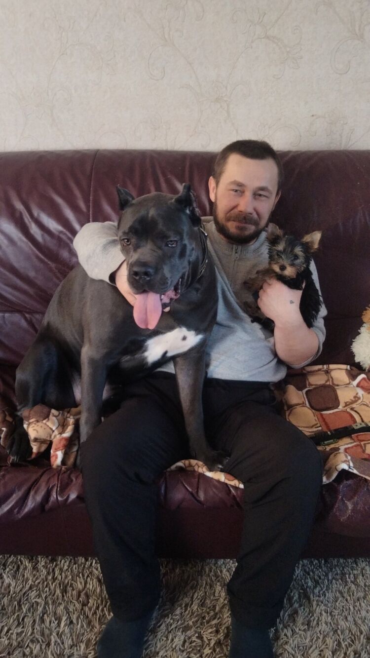  ,   , 43 ,   