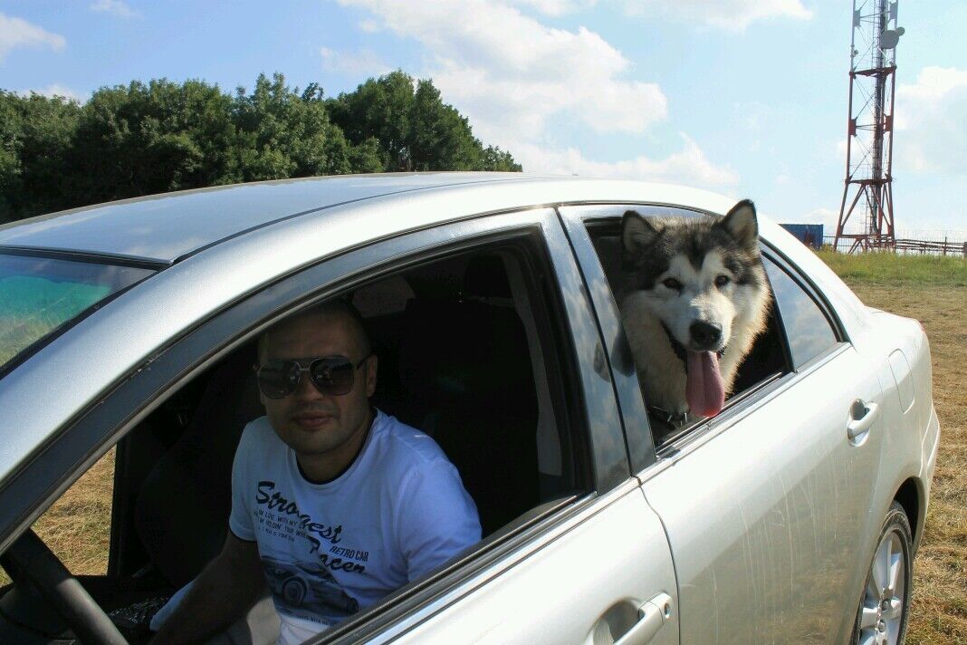 ���������� ����, ���� ������� Antonio, 40 ���, ������������ ��� ������, ����� � ���������, c�������� ���������