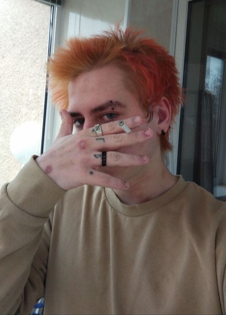  43217516  , 19 ,    