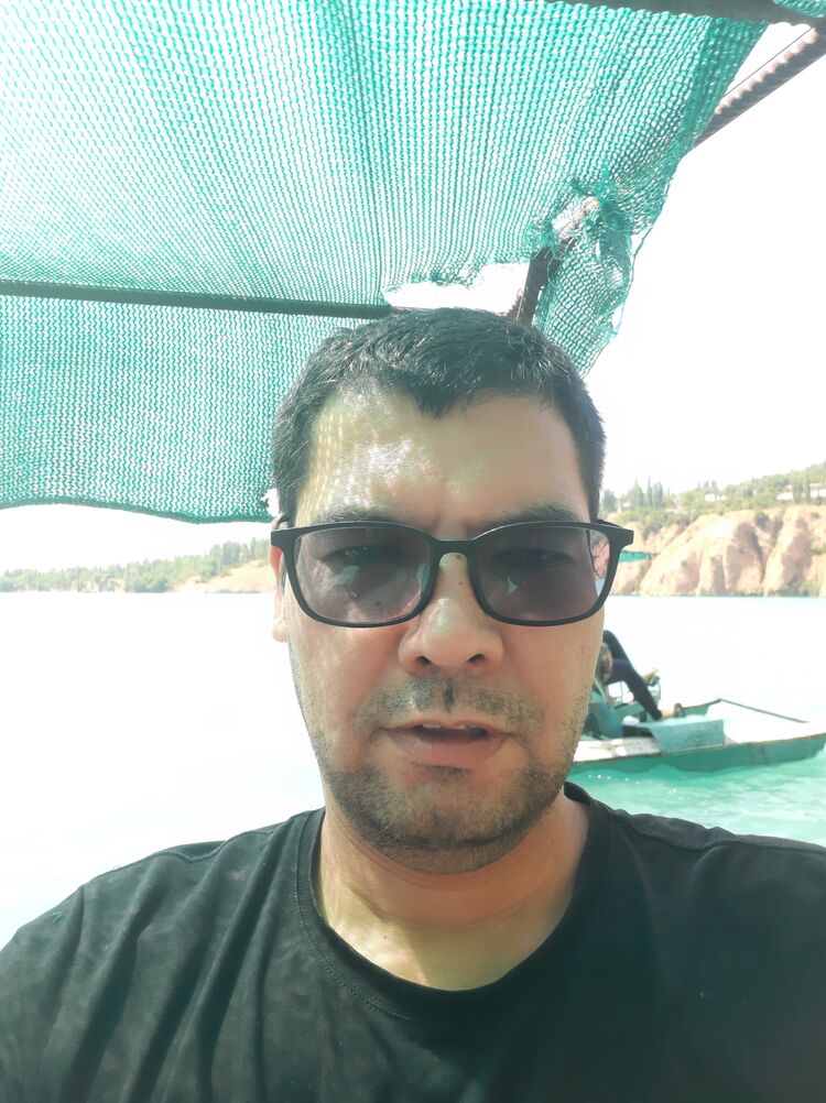 ���� 55578726 ������� ������, 38 ���, ���� ���������� � ��������